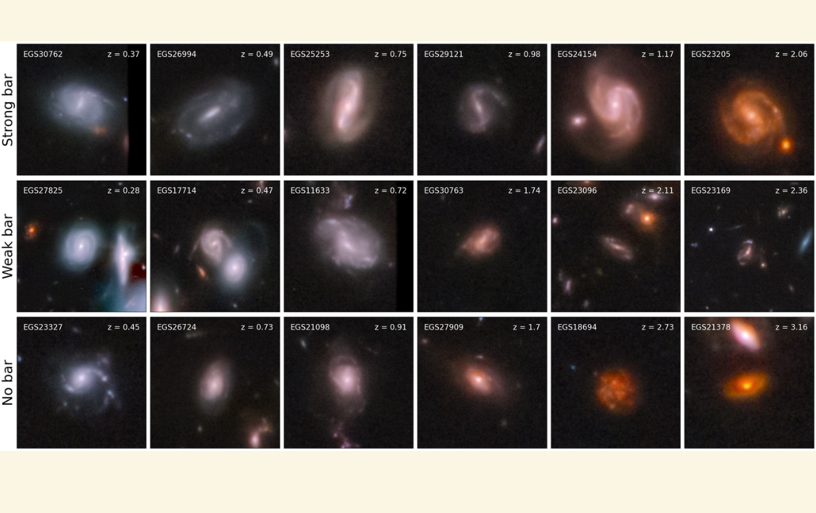 Example Image 5