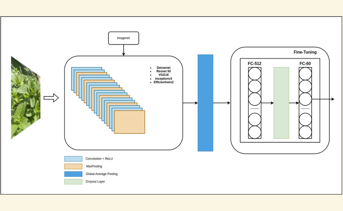 Example Image 6